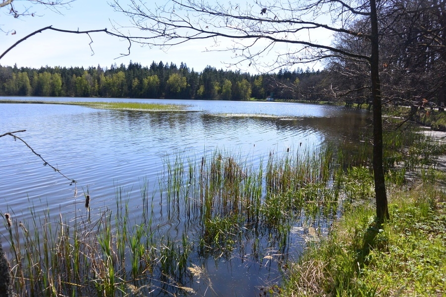 Třeboňsko